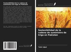 Sostenibilidad de la cadena de suministro de trigo en Pakistán kitap kapağı