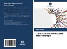 Borítókép a  Zelluläre und molekulare Neurobiologie - hoz