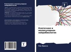 Borítókép a  Клеточная и молекулярная нейробиология - hoz