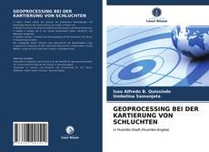 GEOPROCESSING BEI DER KARTIERUNG VON SCHLUCHTEN kitap kapağı