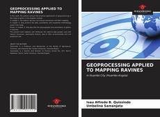 GEOPROCESSING APPLIED TO MAPPING RAVINES的封面