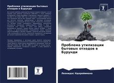 Bookcover of Проблема утилизации бытовых отходов в Бурунди