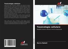 Tossicologia cellulare kitap kapağı