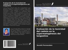 Обложка Evaluación de la toxicidad del cadmio en la espermatogénesis del langostino