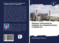 Bookcover of Оценка токсичности кадмия на сперматогенез у креветки