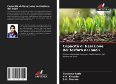 Capacità di fissazione del fosforo dei suoli kitap kapağı