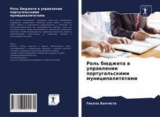 Bookcover of Роль бюджета в управлении португальскими муниципалитетами