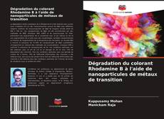 Copertina di Dégradation du colorant Rhodamine B à l'aide de nanoparticules de métaux de transition