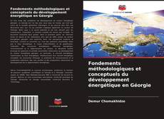 Fondements méthodologiques et conceptuels du développement énergétique en Géorgie的封面