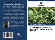 Copertina di Wasserverfügbarkeit und Sojaproduktivität in West-Paraná