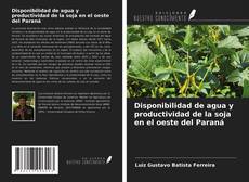 Copertina di Disponibilidad de agua y productividad de la soja en el oeste del Paraná