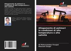 Copertina di Allagamento di polimeri in condizioni di alta temperatura e alta salinità