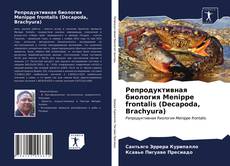 Bookcover of Репродуктивная биология Menippe frontalis (Decapoda, Brachyura)