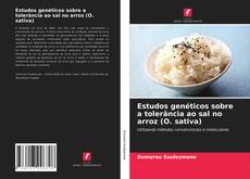 Bookcover of Estudos genéticos sobre a tolerância ao sal no arroz (O. sativa)