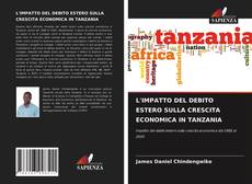 L'IMPATTO DEL DEBITO ESTERO SULLA CRESCITA ECONOMICA IN TANZANIA的封面