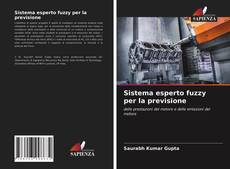 Copertina di Sistema esperto fuzzy per la previsione