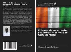 Capa do livro de El lavado de oro en todas sus formas en el norte de Costa de Marfil 