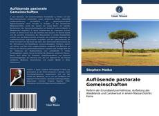 Auflösende pastorale Gemeinschaften kitap kapağı