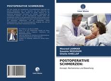 POSTOPERATIVE SCHMERZEN: kitap kapağı