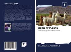 Buchcover von ПЛАН СУБЪЕКТА