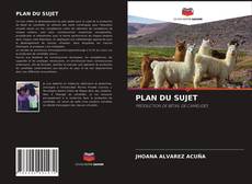 Bookcover of PLAN DU SUJET