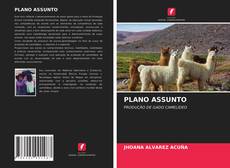 Portada del libro de PLANO ASSUNTO