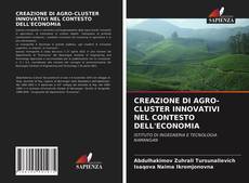 Copertina di CREAZIONE DI AGRO-CLUSTER INNOVATIVI NEL CONTESTO DELL'ECONOMIA