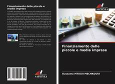 Finanziamento delle piccole e medie imprese的封面