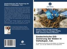 Geotechnische GIS-Zonierung der Böden in Valledupar, Col. kitap kapağı