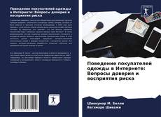 Поведение покупателей одежды в Интернете: Вопросы доверия и восприятия риска的封面