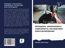 МОЛОДЕЖЬ, НАРКОМАНИЯ И ЗАВИСИМОСТЬ; ПОСЛЕДСТВИЯ КОНСУЛЬТИРОВАНИЯ的封面