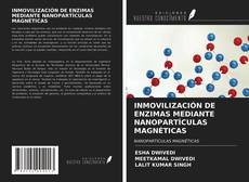 Обложка INMOVILIZACIÓN DE ENZIMAS MEDIANTE NANOPARTÍCULAS MAGNÉTICAS