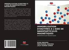 Обложка IMMOBILISATION D'ENZYMES À L'AIDE DE NANOPARTICULES MAGNÉTIQUES