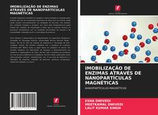 Bookcover of IMOBILIZAÇÃO DE ENZIMAS ATRAVÉS DE NANOPARTÍCULAS MAGNÉTICAS