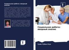 Социальная работа: вводный анализ kitap kapağı