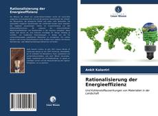 Rationalisierung der Energieeffizienz kitap kapağı