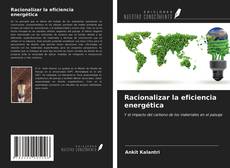 Racionalizar la eficiencia energética kitap kapağı
