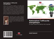 Rationaliser l'efficacité énergétique的封面