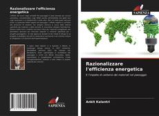 Razionalizzare l'efficienza energetica的封面