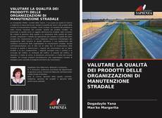 VALUTARE LA QUALITÀ DEI PRODOTTI DELLE ORGANIZZAZIONI DI MANUTENZIONE STRADALE的封面