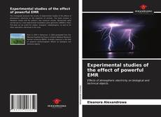 Experimental studies of the effect of powerful EMR的封面