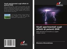 Copertina di Studi sperimentali sugli effetti di potenti EMR