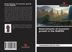 Determinants of economic growth in the WAEMU的封面