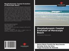 Morphodynamic Coastal Evolution of Maracaípe Beach的封面