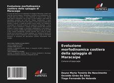 Evoluzione morfodinamica costiera della spiaggia di Maracaípe的封面