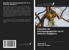 Portada del libro de Estudios de micropropagación en el helecho Staghorn