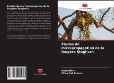 Couverture de Études de micropropagation de la fougère Staghorn