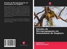 Estudos de Micropropagação em Samambaias de Staghorn的封面