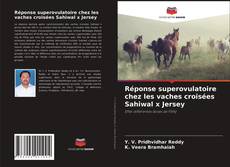 Portada del libro de Réponse superovulatoire chez les vaches croisées Sahiwal x Jersey