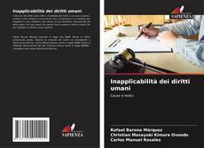 Inapplicabilità dei diritti umani kitap kapağı
